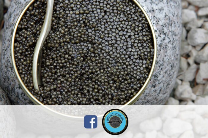 Brunch Caviar