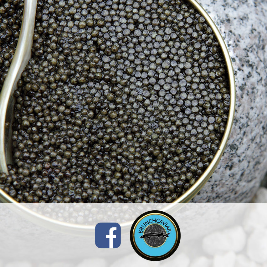 Brunch Caviar